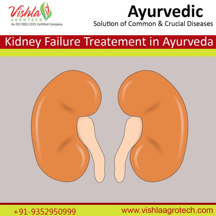 Kidney failure treatnent in ayurveda
