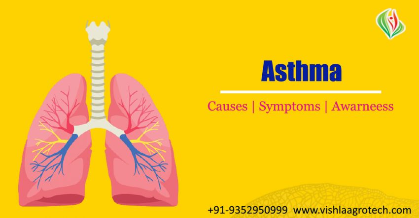 Asthma Facts : Symptoms, Causes, Treatments, & More